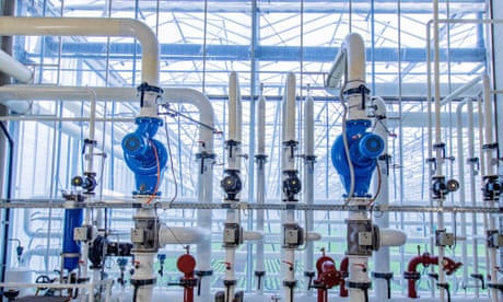 Gauges, valves and pipes for water, heating and CO2 at the Gebr. Meier Greenhouse in Hinwil outside Zurich.
