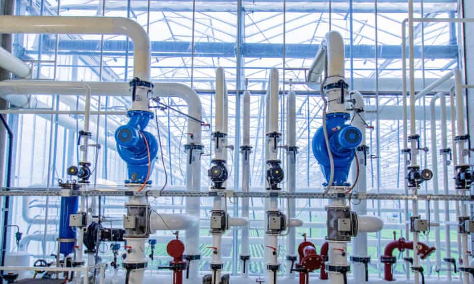 Gauges, valves and pipes for water, heating and CO2 at the Gebr. Meier Greenhouse in Hinwil outside Zurich. 