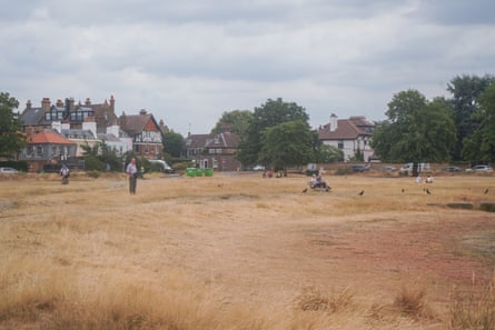 yellow-brown grass on Wimbledon Common