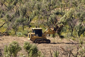 The armoury of bulldozers through Australia’s savannas is supported by a common network of power brokers, lawmakers and enforcement agencies.
