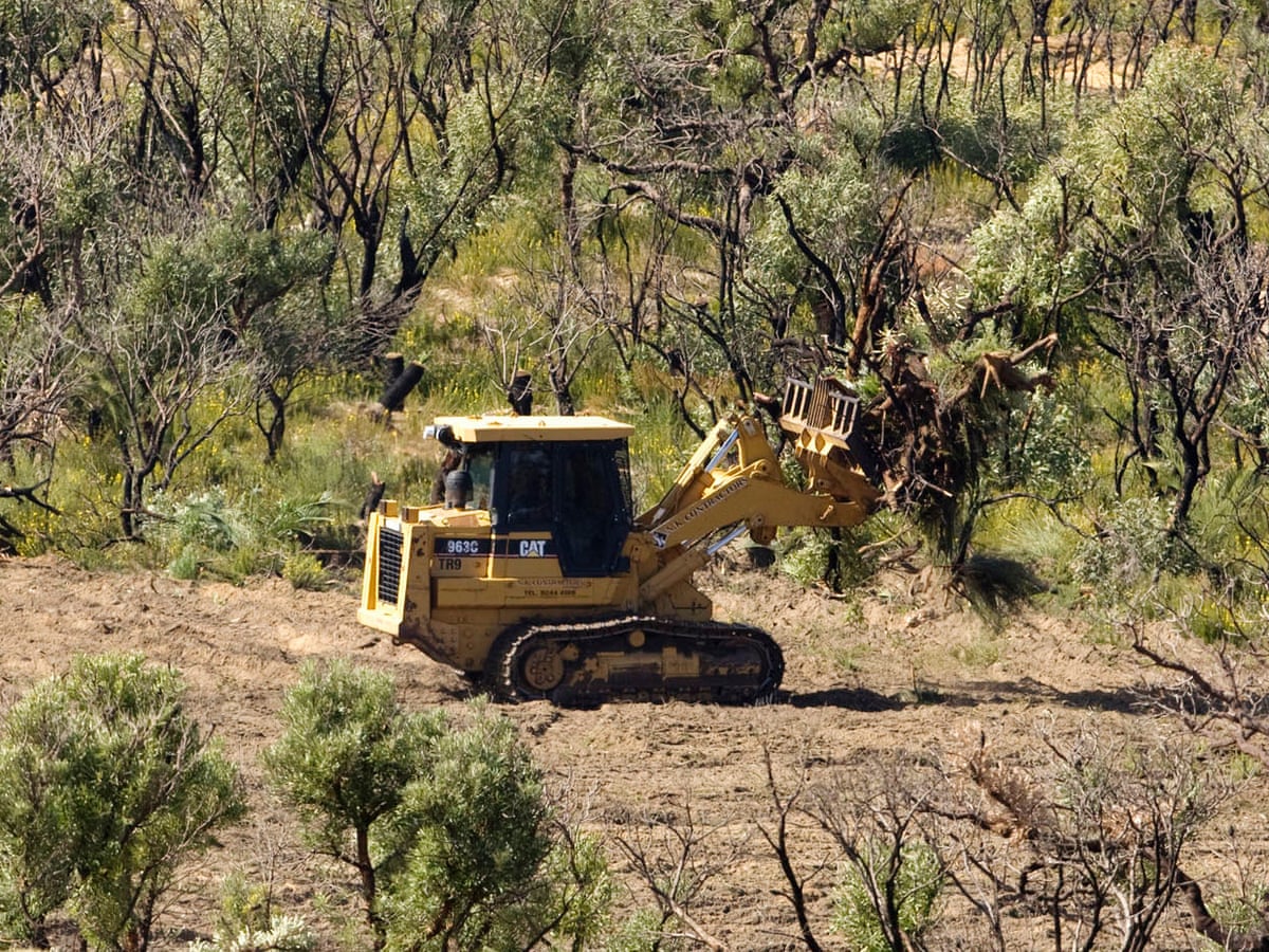 Land Clearing Austin Tx