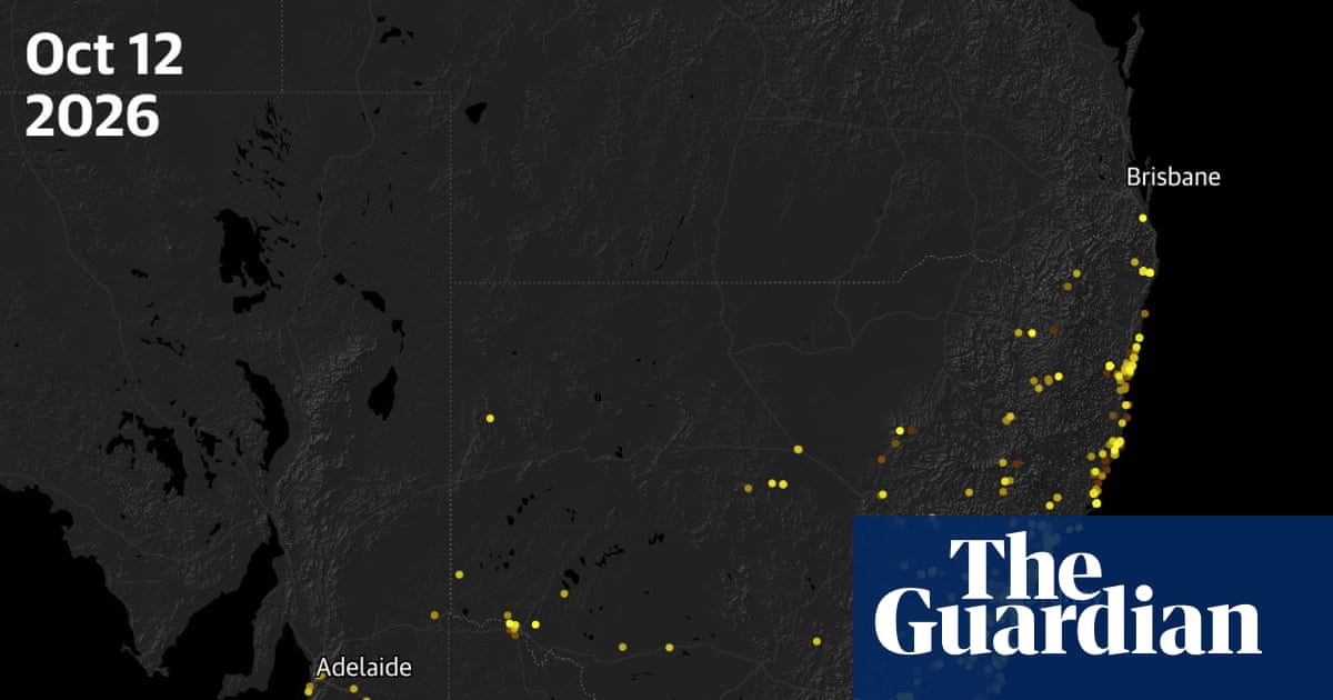 The great moth revival: how bogongs have bounced back