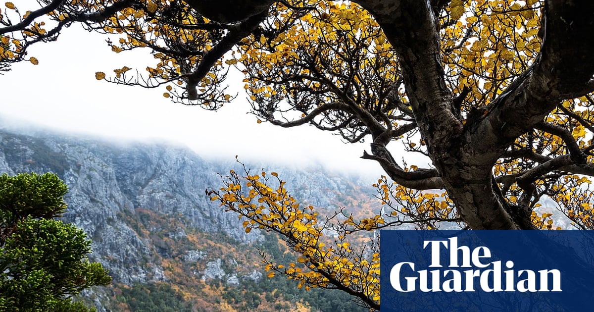 Cradle Mountain tourist dies after walking group overwhelmed by extreme weather at national park