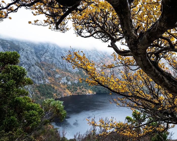 Cradle Mountain tourist dies after walking group overwhelmed by extreme weather at national park