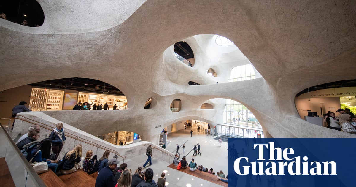 Top New York museum to remove all human remains from display