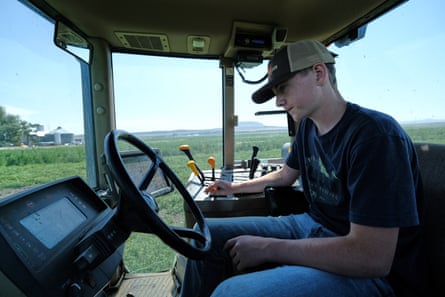 Spencer Seus drives a tractor to cut weeds in a field of mint at his family's farm.