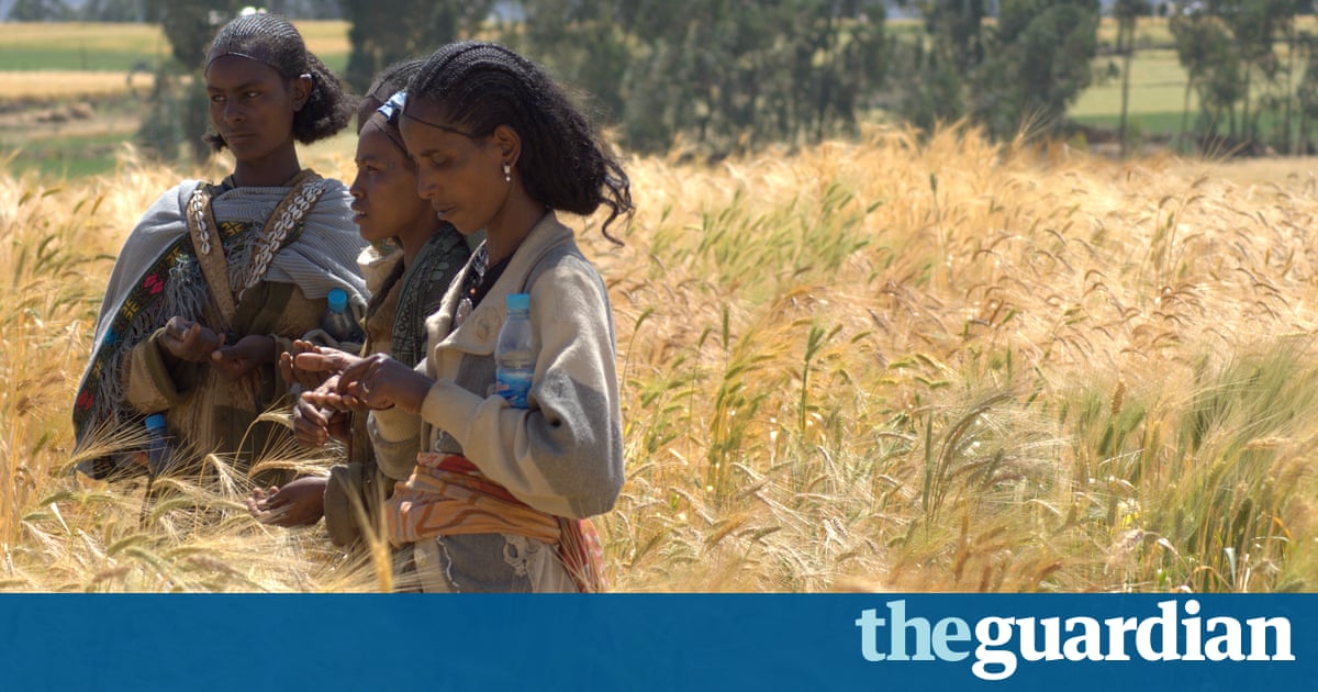 Sixth mass extinction of wildlife also threatens global food supplies