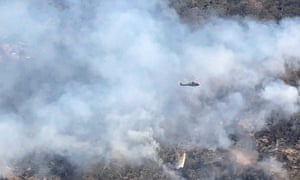 A firefighting helicopter above the endangered trees