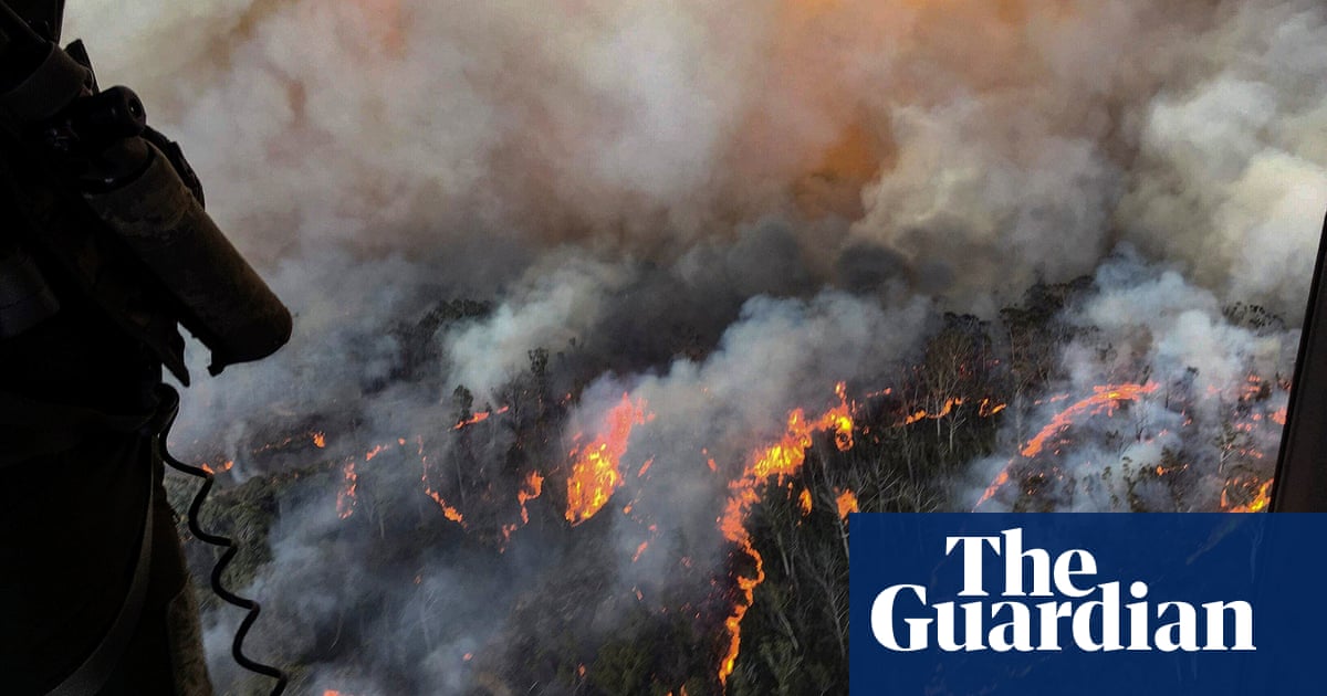 'It's heart-wrenching': 80% of Blue Mountains and 50% of Gondwana rainforests burn in bushfires - The Guardian