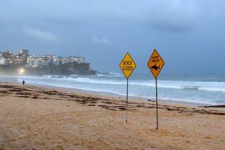 A visitor walks along the shoreline near the closed signage of the North Steyne Beach in Sydney on January 19, 2026
