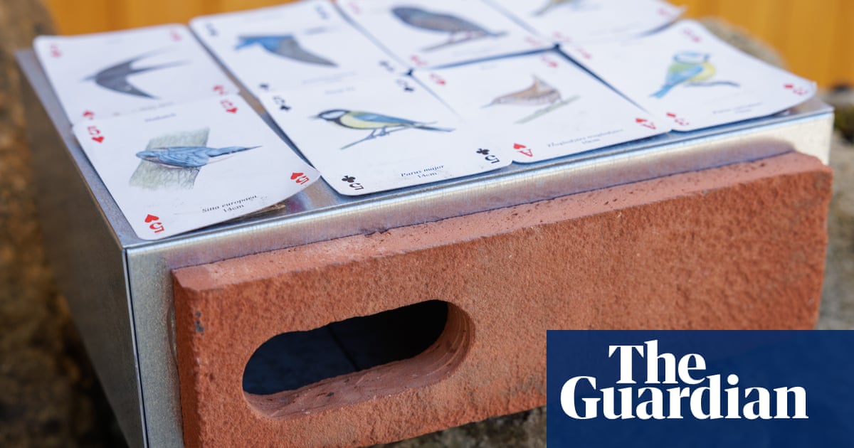 Labour blocks proposal for swift bricks' in all new homes