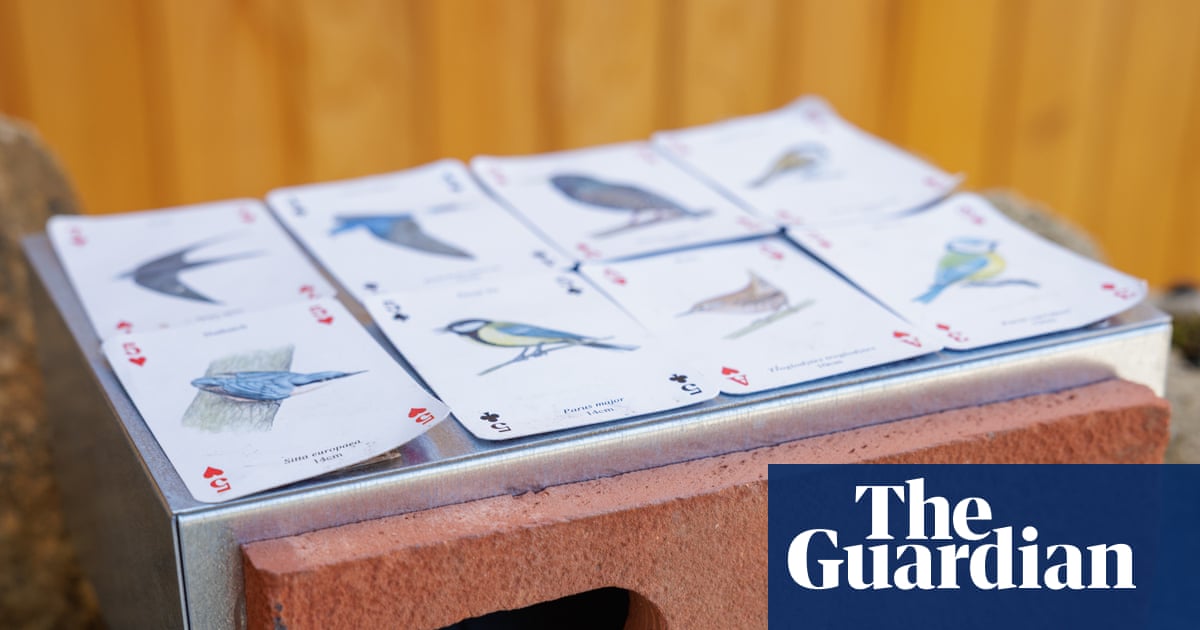 Swift bricks to be installed on all new buildings in Scotland as MSPs back law