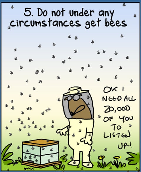 Tiny Things To Do 2026, panel 7