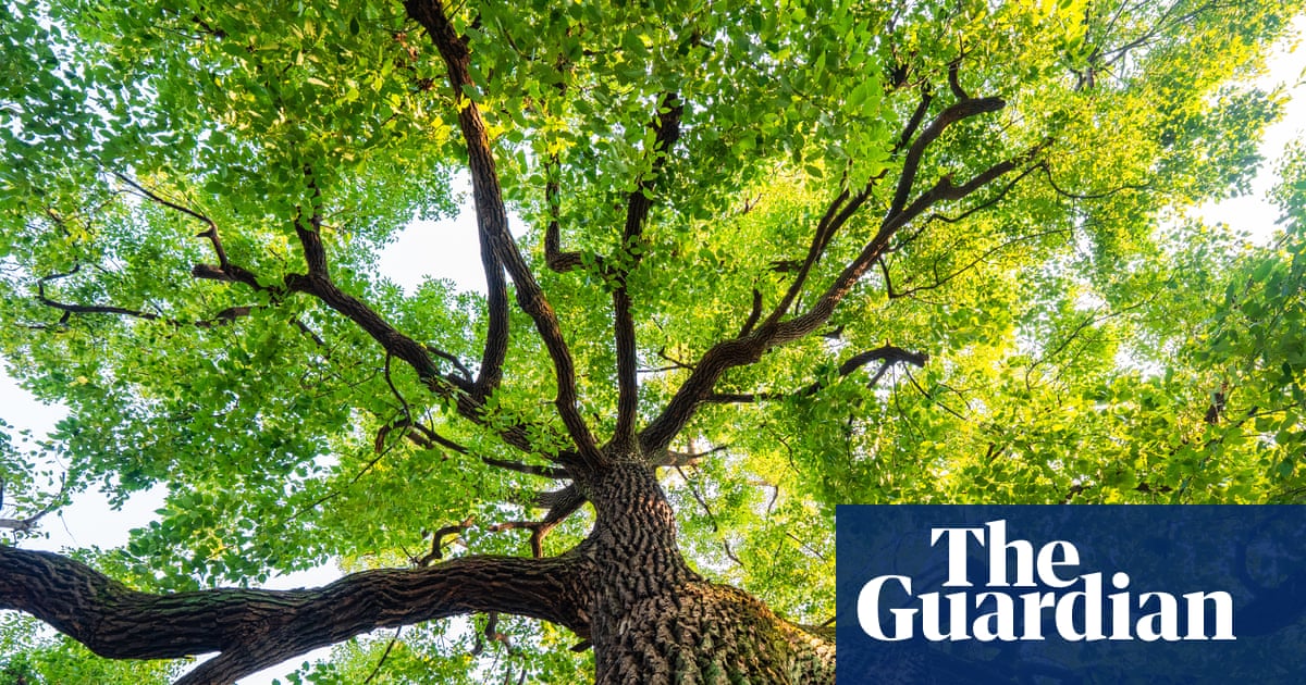 Guardian Rounds Up Best Recent Poetry Collections