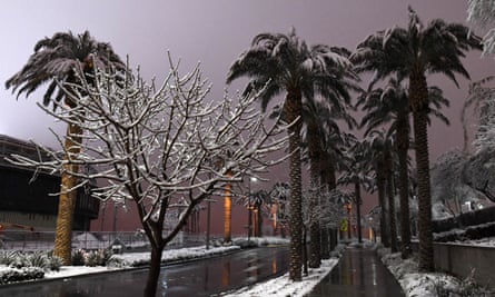 Snow-covered trees in Vegas on Thursday.