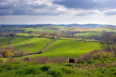 Waddon Hill, looking south towards the West Dorset Heritage Coast.