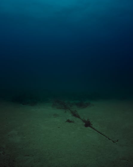 Bahamas Internet Cable System (BICS-1) NSA/GCHQ-Tapped Undersea Cable Atlantic Ocean, 2015by Trevor Paglen