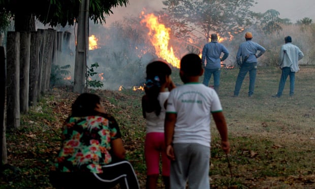 People watching a section of forest burning in the Amazon, Brazil