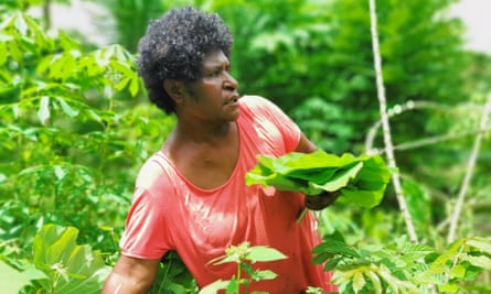 Christine Valvalu collects Taro leaves for cooking.