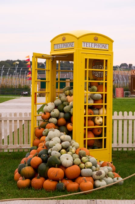 A yellow telephone box filled with pumpkins spilling out at Farmer Copleys in Pontefract.