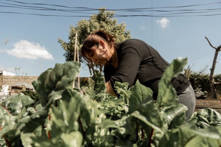 Dressed in black and leaning into a thicket of plants, Zulma Monge works in the El Ceibo organic community garden
