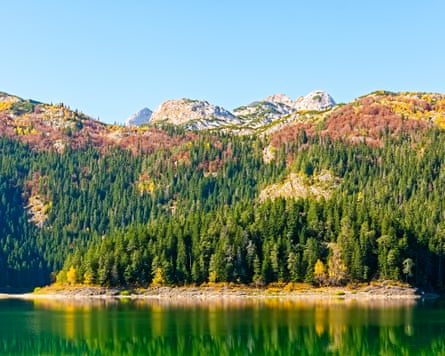 Autumn trees reflected in a lake with mountains in the background.
