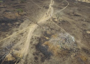Scorched landscape near Nacaome, southern Honduras