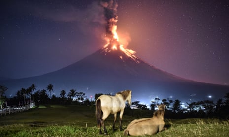 Horses look on as Mount Mayon erupts in the early morning.
