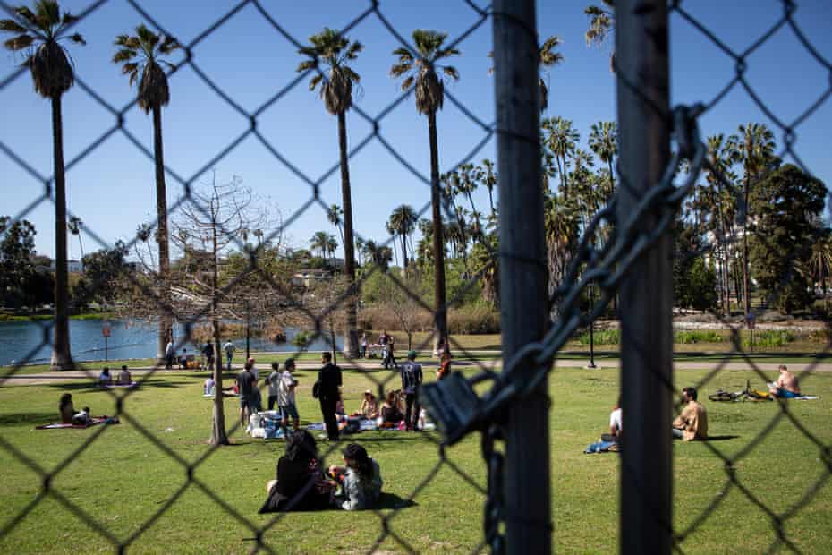 People can be seen sitting on a lawn surrounded by palm trees through a chain link fence. A lake is nearby
