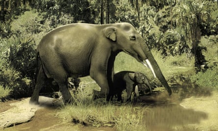 An artist’s impression of a gomphotherium