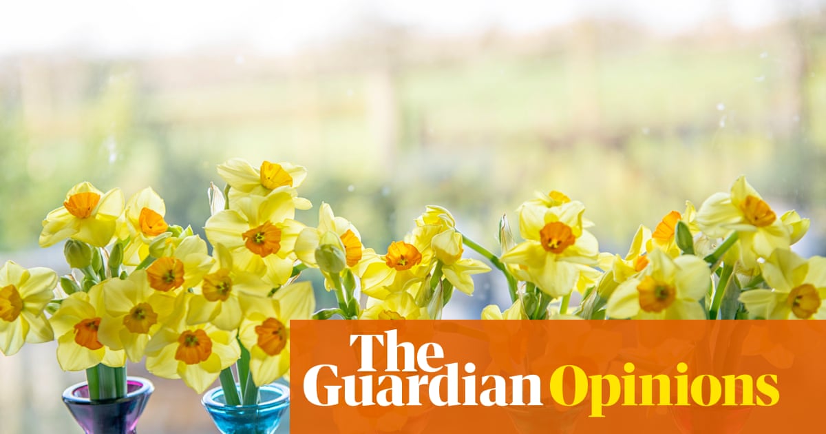 Sunshine’s back, the days are getting longer – and doesn’t everything look awful? | Emma Beddington Sunshine’s back, the days are getting longer – and doesn’t everything look awful? | Emma Beddington