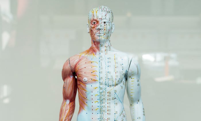The cost of alternative medicine - archive | Alternative medicine | The Guardian