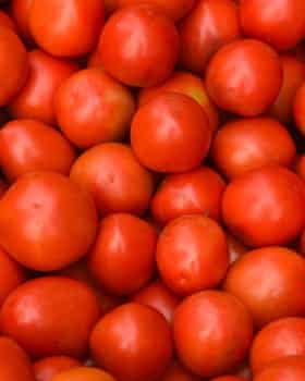 Tomatoes.