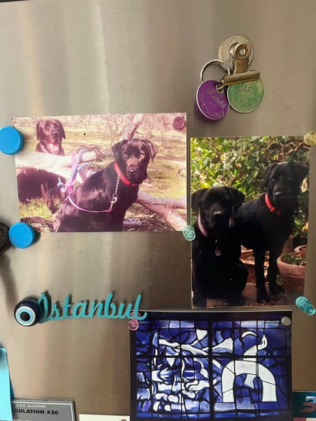 The dog tags remain on the fridge.