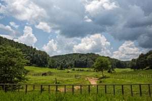 The Elephant Sanctuary, Hohenwald, Tennessee