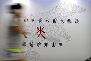 A woman walks past an anti-pangolin trafficking billboard in Beijing