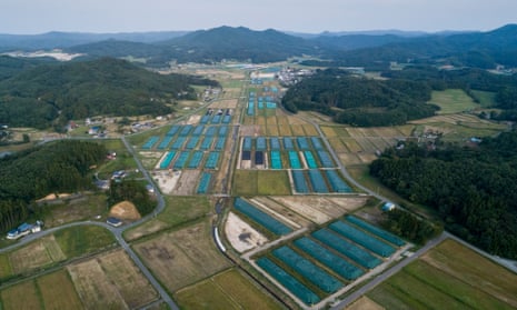 Nuclear waste storage area in Iitate in the Fukushima prefecture, Japan. 