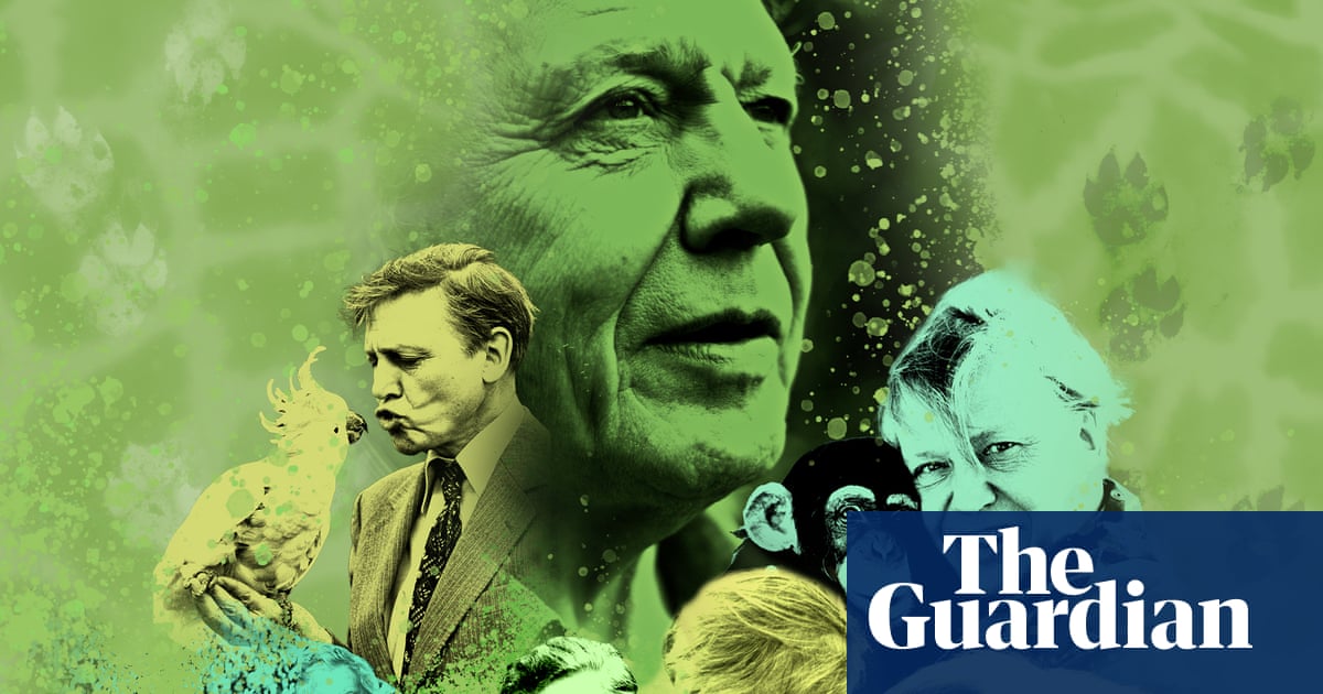 Happy centenary, David! Attenborough’s 100 most spectacular TV moments