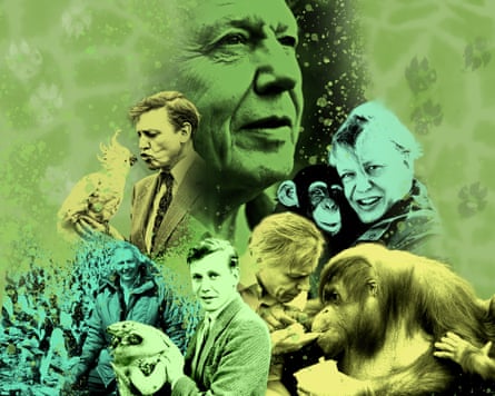 Composite of david attenborough images
