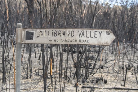 Burnt out bush and a burnt road sign