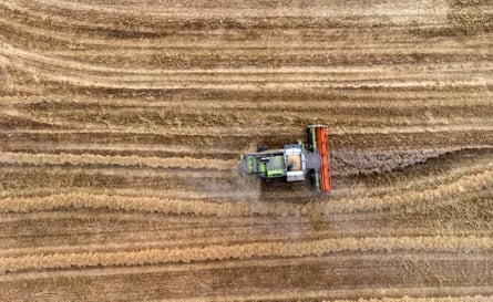 A combine harvester operates in a field during a wheat harvest on a farm near Benfleet
