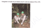 One of the photos of the footprints found during seismic exploration in the proposed Yavari-Tapiche reserve. This photo and caption appears in CEDIA’s study done under contract to the Culture Ministry.