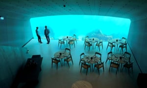 Lights have been installed to attract sea life to the window.