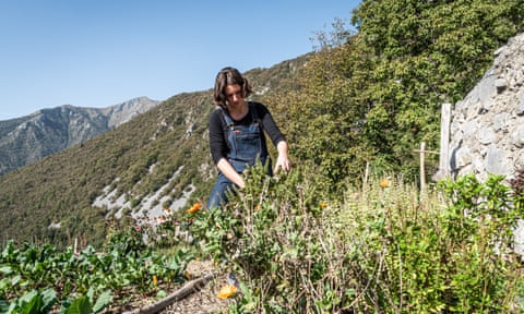 A young woman tends to plants on hillside garden