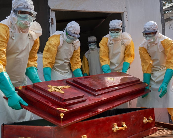 Understanding Ebola’s wildlife origins is crucial to preventing next big outbreak