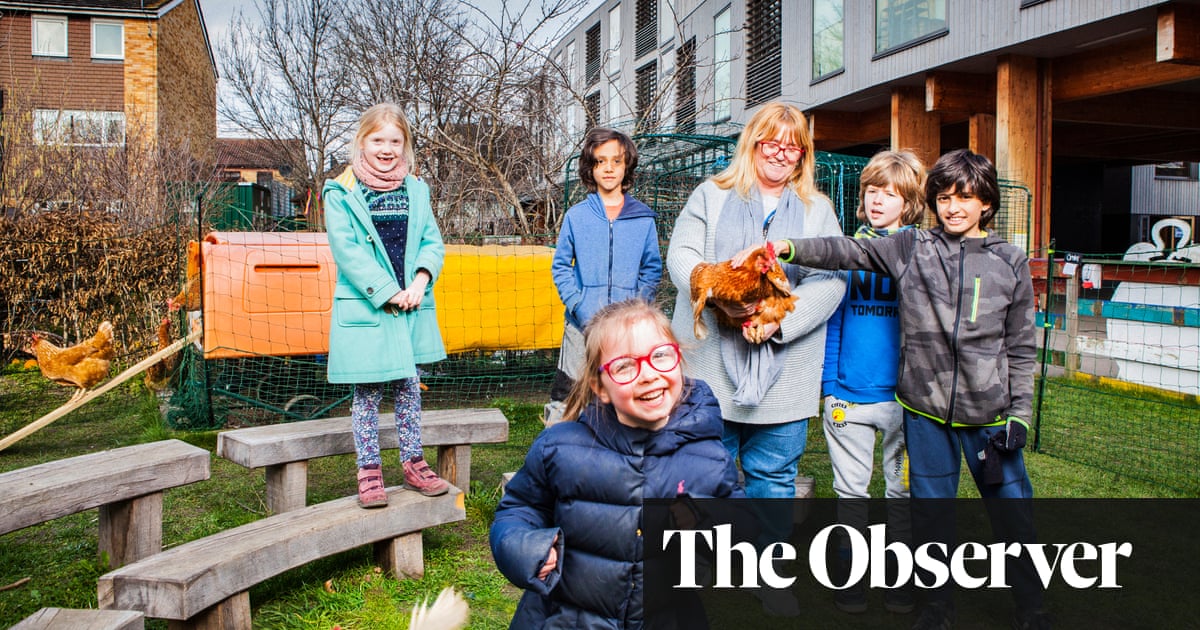 The Zen Of Hens The Rise And Rise Of Chicken Keeping Food The
