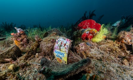 Plastic Waste in Verde Island, Philippines