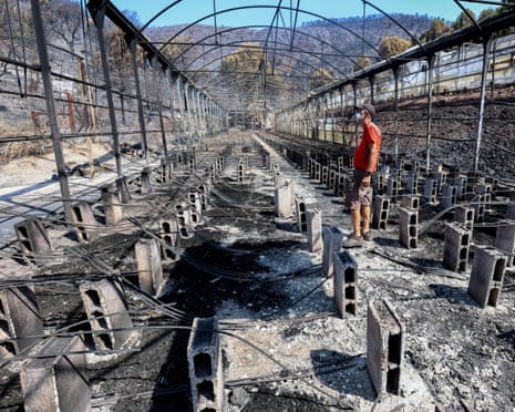 A man wearing a mask inspects stands in a fire-damaged structure