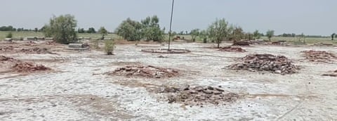 A barren stretch of ground with unmarked grave mounds.