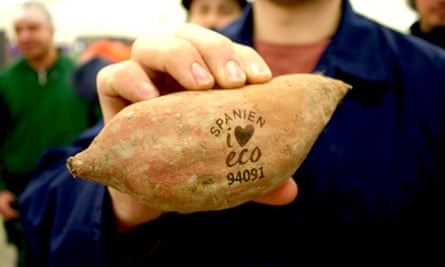 A sweet potato
